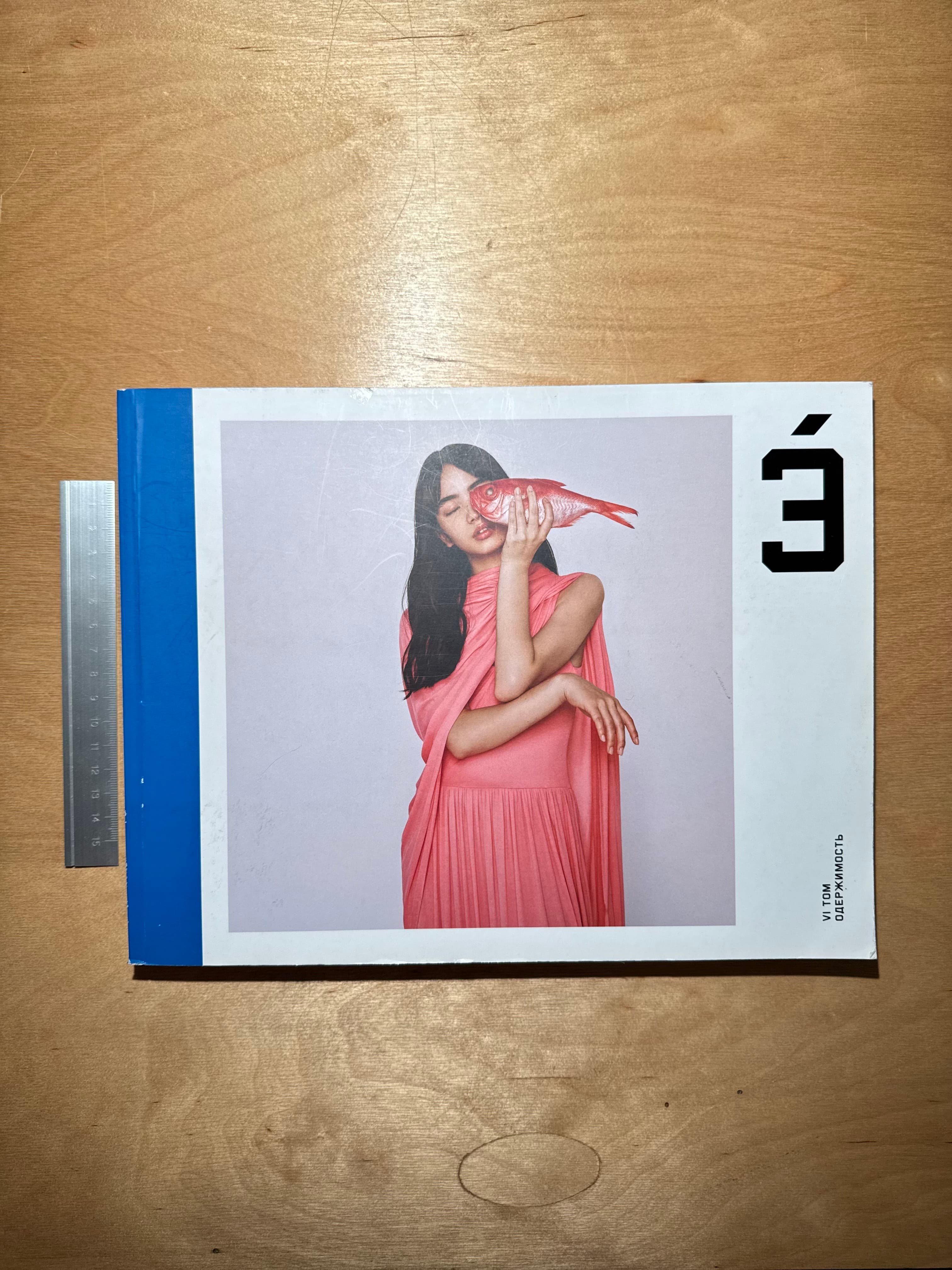 Issue 6: Одержимость
