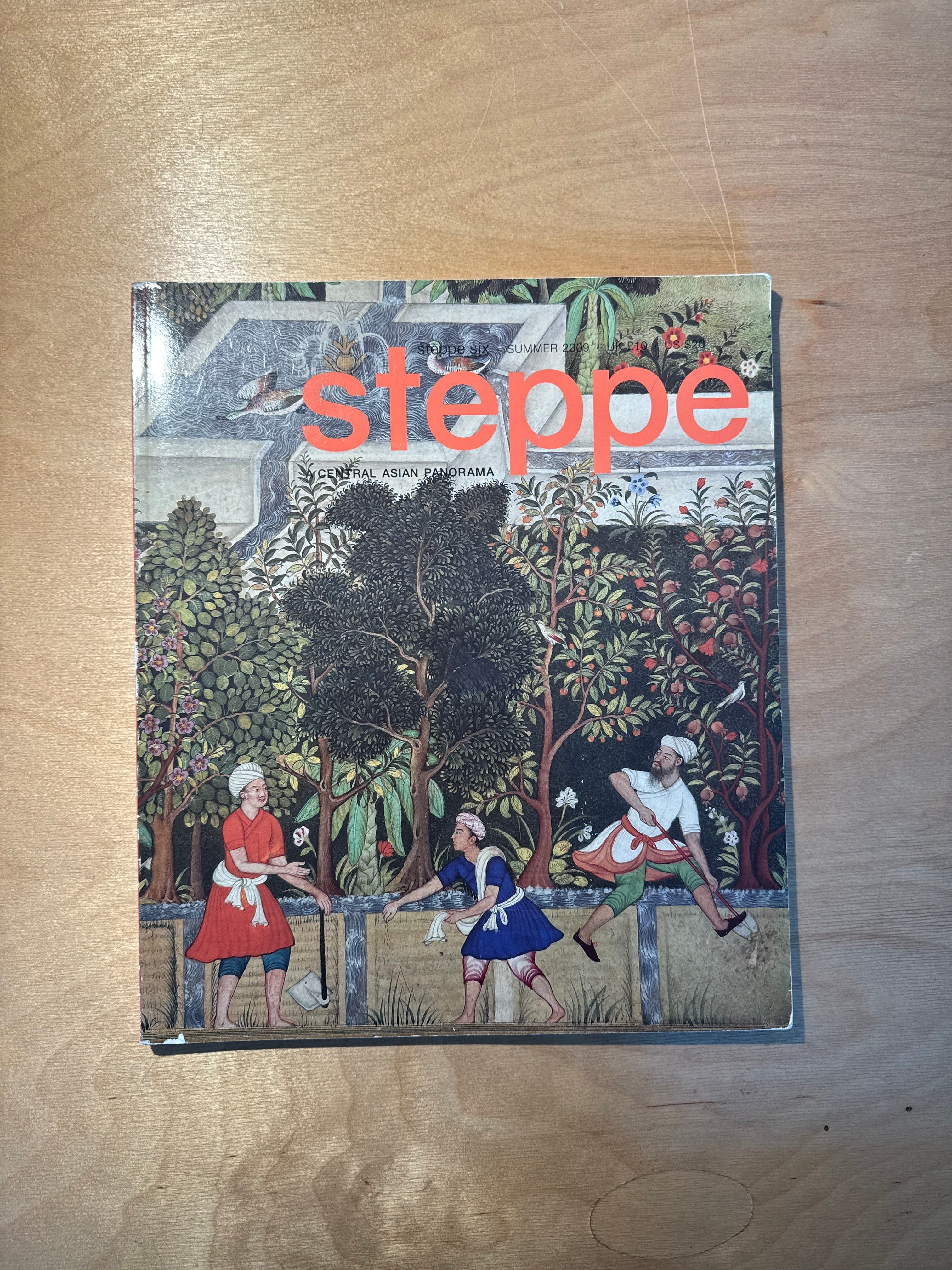 Issue 6